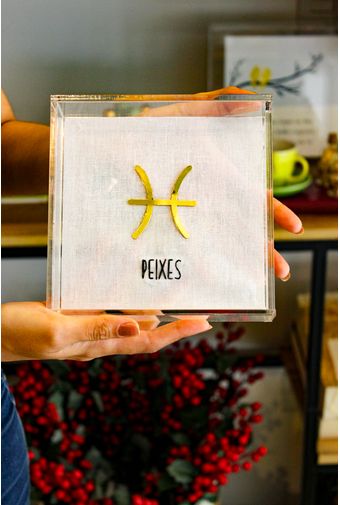 Quadro Acrilico Peixes Mimo Galeria